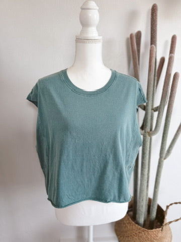 Dusty Desert Top