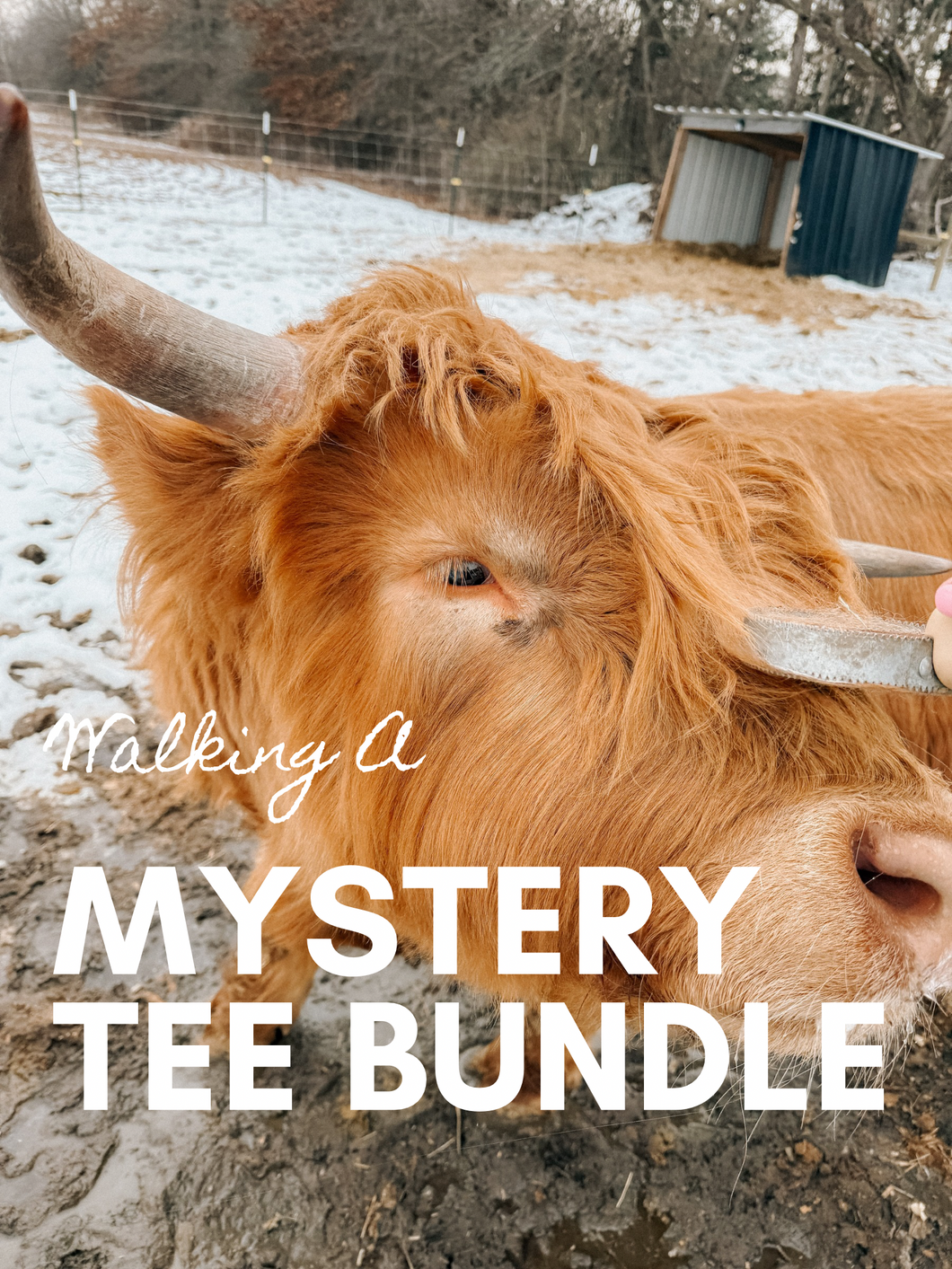 MYSTERY TEE *BUNDLE*